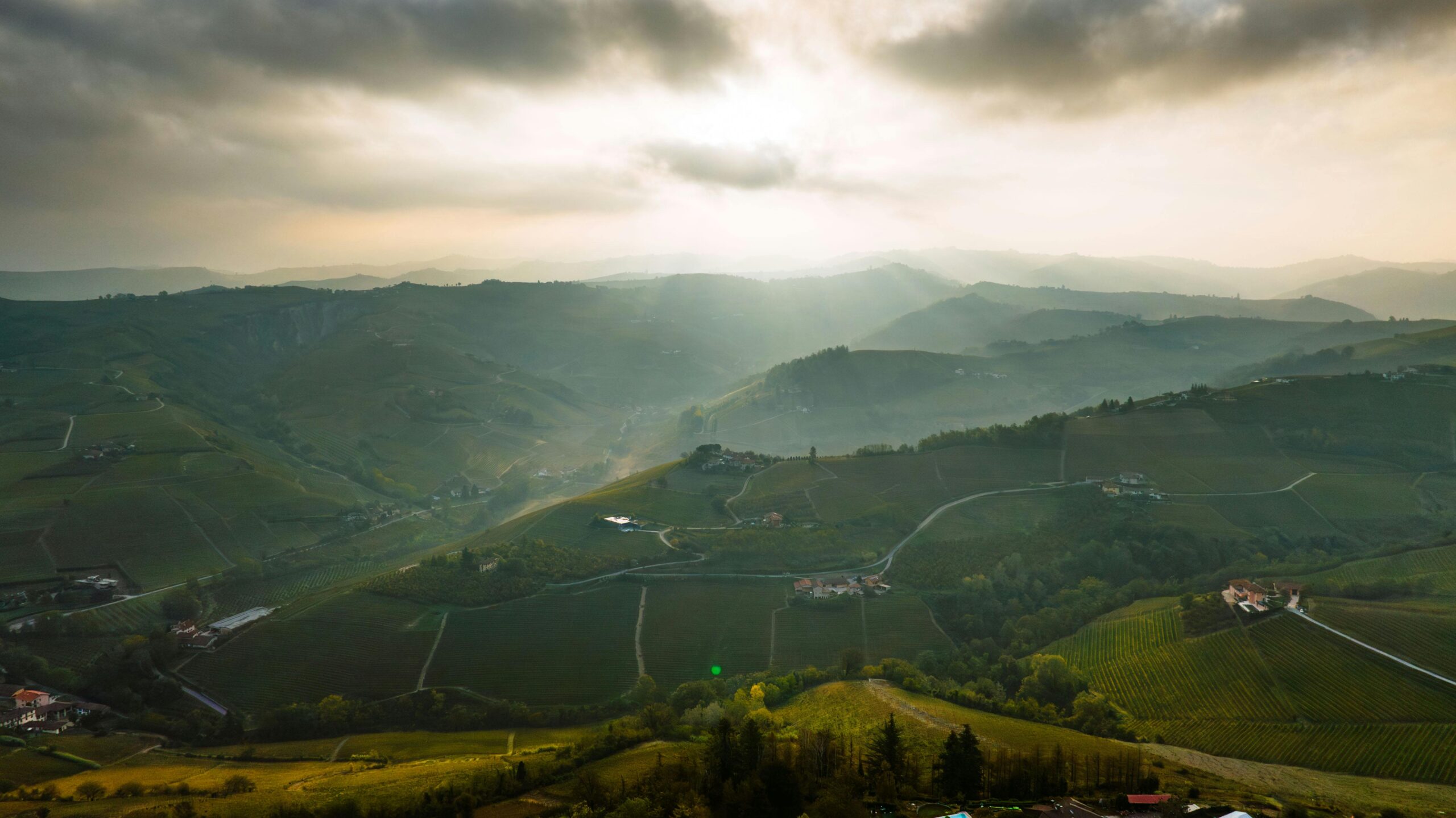 Tour in bici nelle Langhe - Percorsi enogastronomici tra vigneti